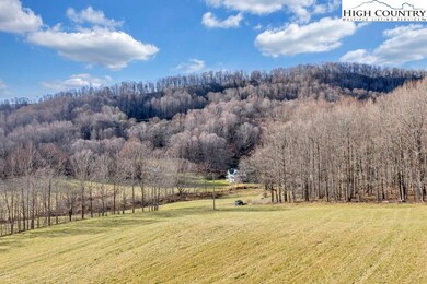 TBD Old Buffalo Trail, Boone, NC 28607 - photo 4