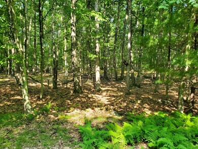 Lot 799 Tink Wig Dr, Lackawaxen Township, PA 18428 - photo 3