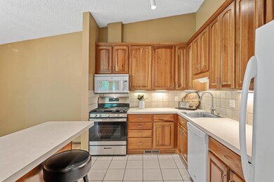 1010 Zanzibar Ln N, Plymouth, MN 55447 - photo 2