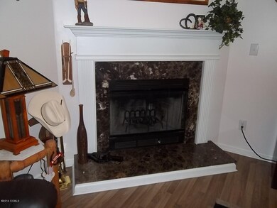 Wood Burning Fire Place
