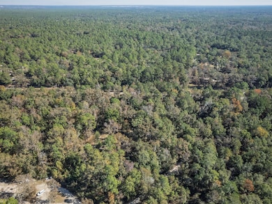 9412 Ranchero Rd, Tallahassee, FL 32305 - photo 6