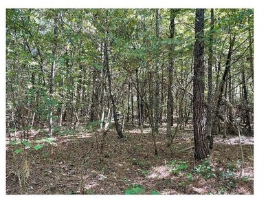 121345 Greene 756, Paragould, AR 72450 - photo 3