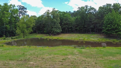 Water view with a forest