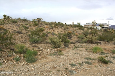 1765 Fortification Dr unit 736, Meadview, AZ 86444 - photo 2