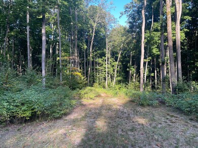 11234 White Ash Trail, Vanderbilt, MI 49795 - photo 4