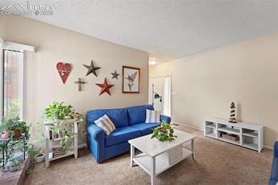 Carpeted living room with a textured ceiling