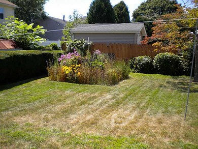 Yard/Garden.