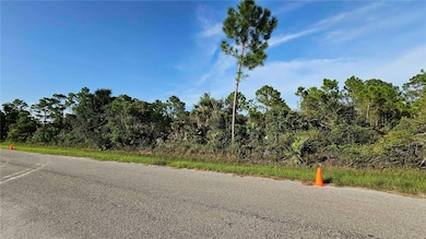 0 Vespucius St unit MFRA4580897, North Port, FL 34287 - photo 5