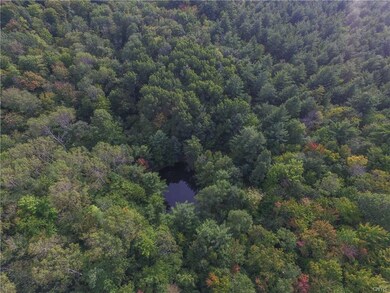 Pond in rear, accessed via jeep trail.