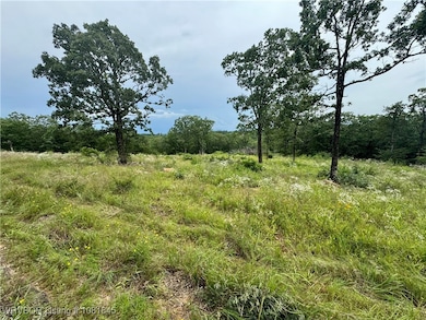 0000 Roberts Ln, Huntington, AR 72940 - photo 3