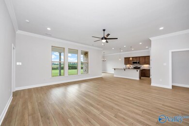 24361 Bekah Ln, Toney, AL 35773 - photo 7