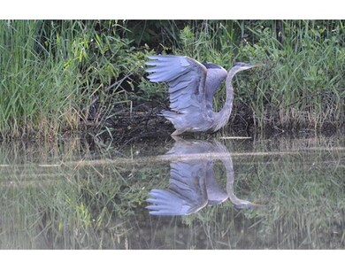 6 Crawford St, Northborough, MA 01532 - photo 5