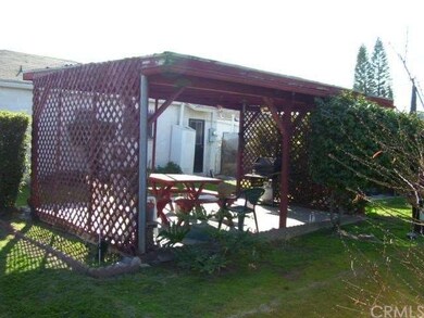 Backyard Patio
