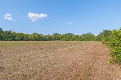 0 Craig Bridge Rd, Williamsport, TN 38487 - photo 6