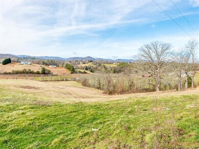 99999 King Dr, Leicester, NC 28748 - photo 6