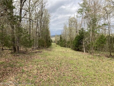 TBD N 4740, Muldrow, OK 74948 - photo 4