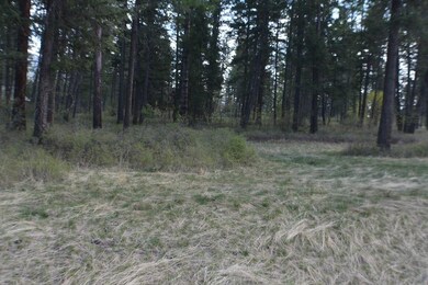 47 Wood Ridge Dr unit Lot 22, Columbia Falls, MT 59912 - photo 7