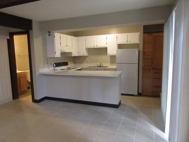 37 Bermuda Colony unit 3, Fox Lake, IL 60020 - photo 6