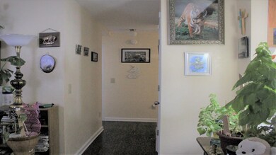 Sheryll Rainey - BURROWS HALLWAY6
