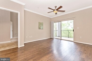 19608 Galway Bay Cir, Germantown, MD 20874 - photo 5