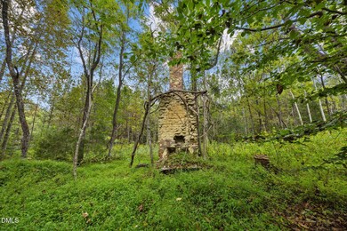 Lot D Wolf Tree Way, Efland, NC 27243 - photo 5