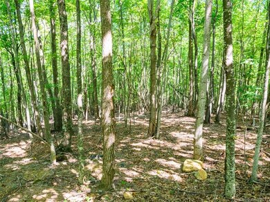 1306 Double Knob Dr unit 112, Arden, NC 28704 - photo 5