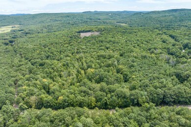 0 Phineas Graves Rd unit 5040078, Center Tuftonboro, NH 03816 - photo 2