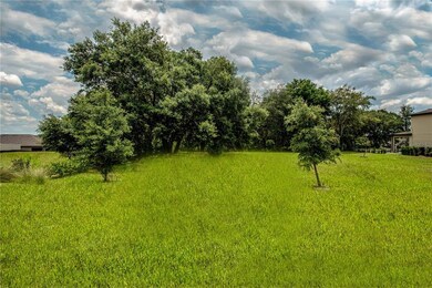 30134 Bretton Loop, Mount Dora, FL 32757 - photo 7