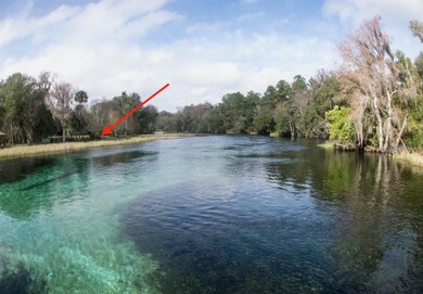 9069 SW 190th Avenue Rd, Dunnellon, FL 34432 - photo 3