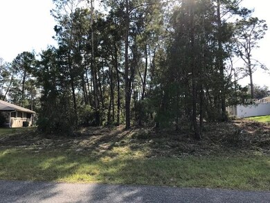 0 SW 169th Place unit G5006292, Ocala, FL 34473 - photo 2