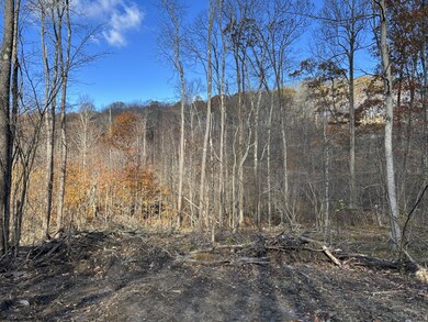 TBD Spruce Run Rd, Terra Alta, WV 26764 - photo 3