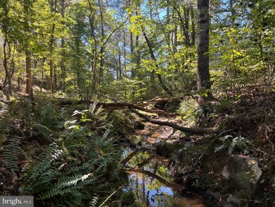 0 Twymans Mill Rd unit VAMA2001908, Madison, VA 22719 - photo 2