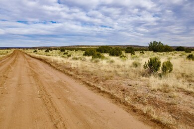 Tbd N6579, Saint Johns, AZ 85936 - photo 7
