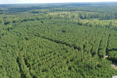 545 E Sibley Rd, Ruston, LA 71227 - photo 4