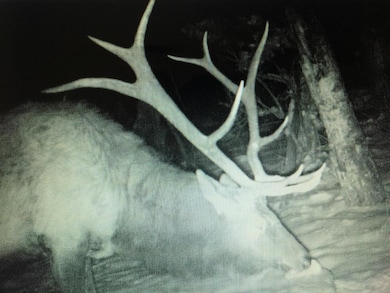 0 Forbes Rd unit 25-1253, Sangre de Cri, CO 81133 - photo 6