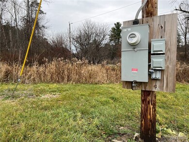 0 Feathers Creek Rd unit B1651106, Belmont, NY 14813 - photo 4