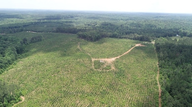 45+/- Ac Noles Rd, Franklin, GA 30217 - photo 6