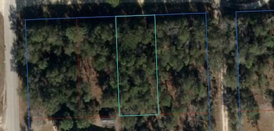 0 NE 67th St unit 796045, Bronson, FL 32621 - photo 2