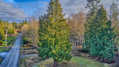 230 Iris Blvd, Point Roberts, WA 98281 - photo 5