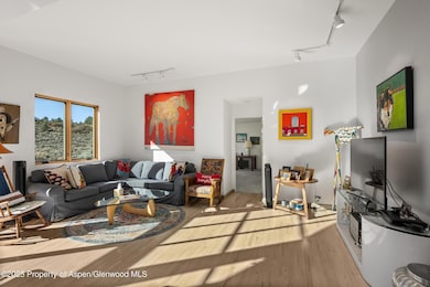 525 Cactus Flats Rd, Carbondale, CO 81623 - photo 7