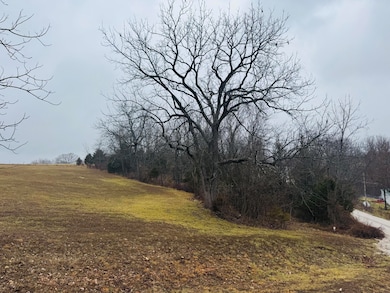 000 Primrose Ln, Clever, MO 65631 - photo 2