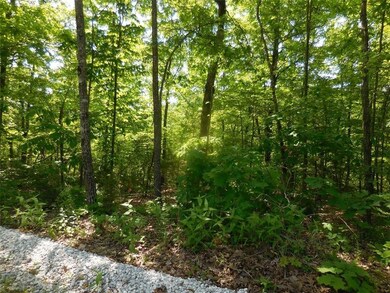 16859 Wyola Rd, Winslow, AR 72959 - photo 6