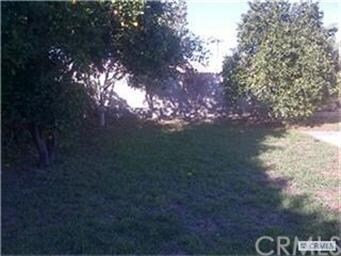 FRUIT TREES