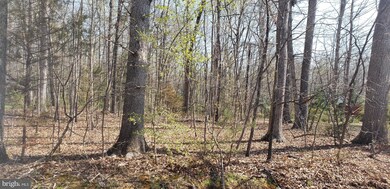 106 Meadowview Ln, Locust Grove, VA 22508 - photo 3