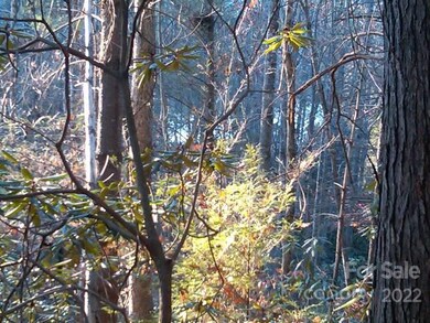 View from Lot