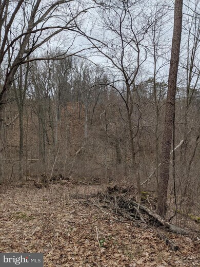 0 Campbell Dr, Newport, PA 17074 - photo 4