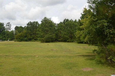 2891 Timrod Rd, Conway, SC 29527 - photo 3