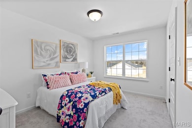 2 Sterling at Highlands, Rolla, MO 65401 - photo 6