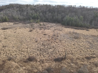 0 Tuhro Rd, Athens, PA 18810 - photo 7