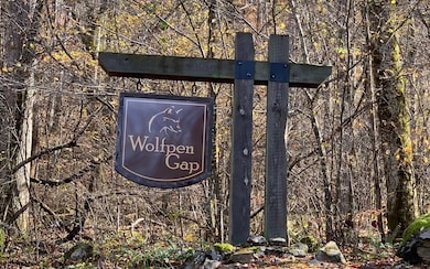 Lot 9 Wolfpen Gap, Hiawassee, GA 30546 - photo 2